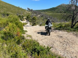 503109561_1264179092378618_1806125266165482837_n